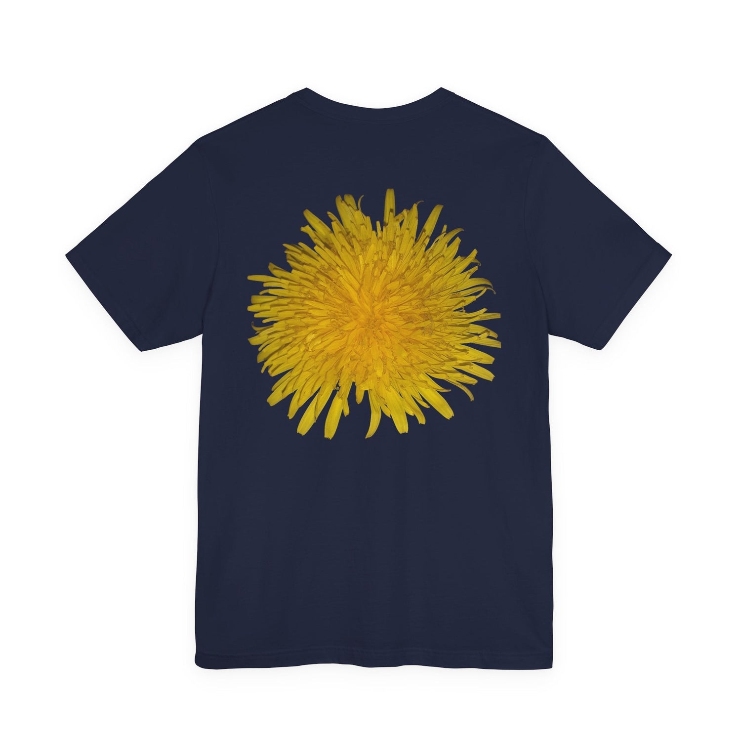 Bloom